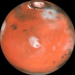 Meet your Posher, Elijah